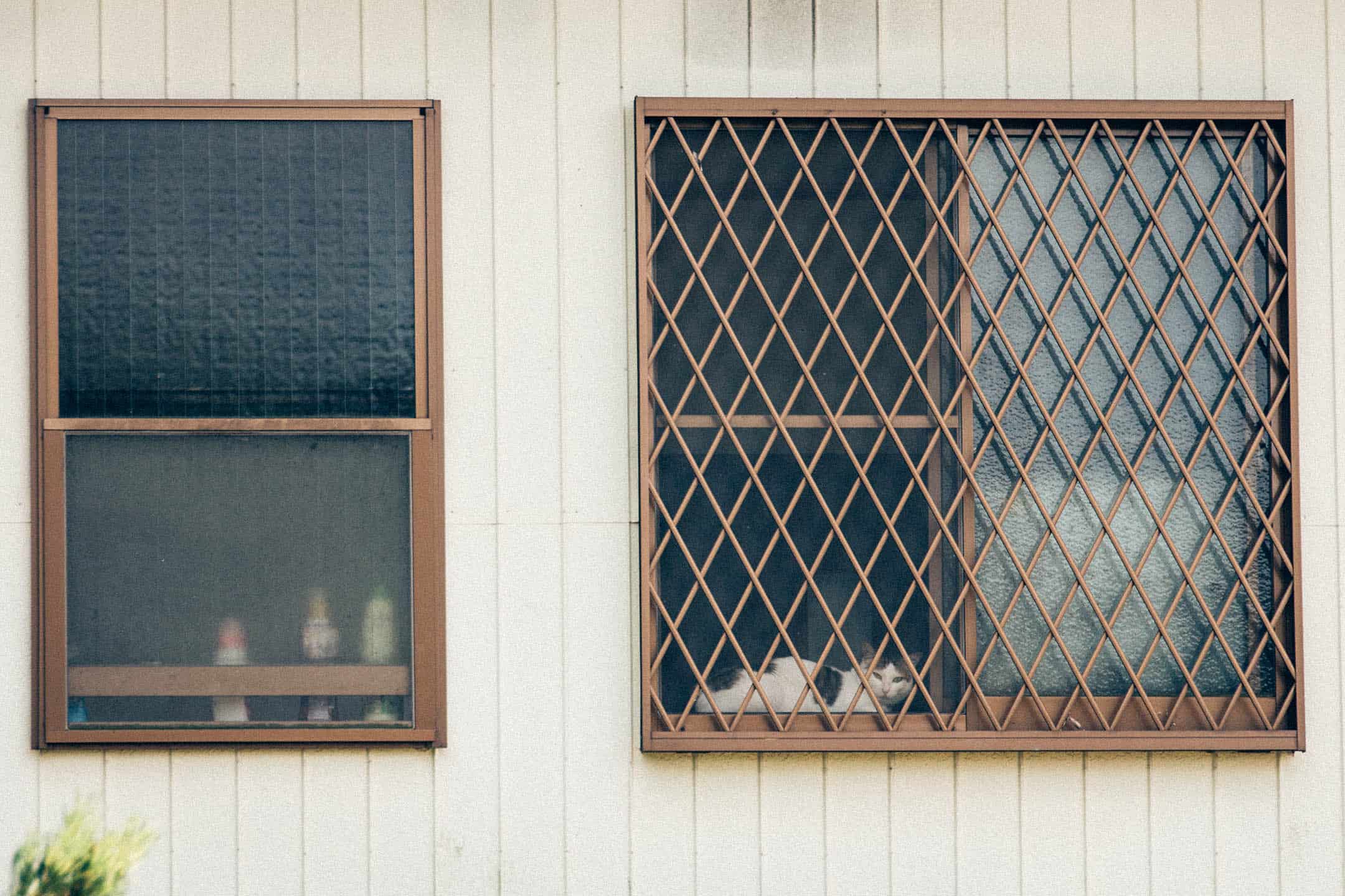 Window with window bars installed.